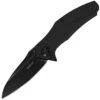 Kershaw Natrix, 3.25" Assisted Black Blade, Black G10 Handle - 7007BLK -Pocket Knives Sales kershaw natrix black1 1800x1800
